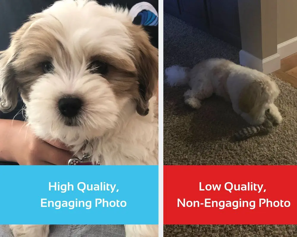 6 Mistakes Brands Make on Instagram 2 instagram mistakes