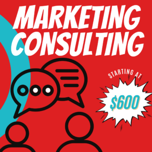 Fly Pages Marketing Consulting Website 1