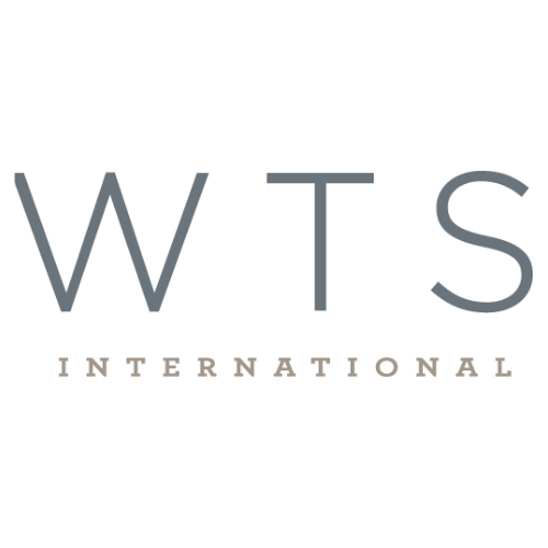WTS International Digital Advertising